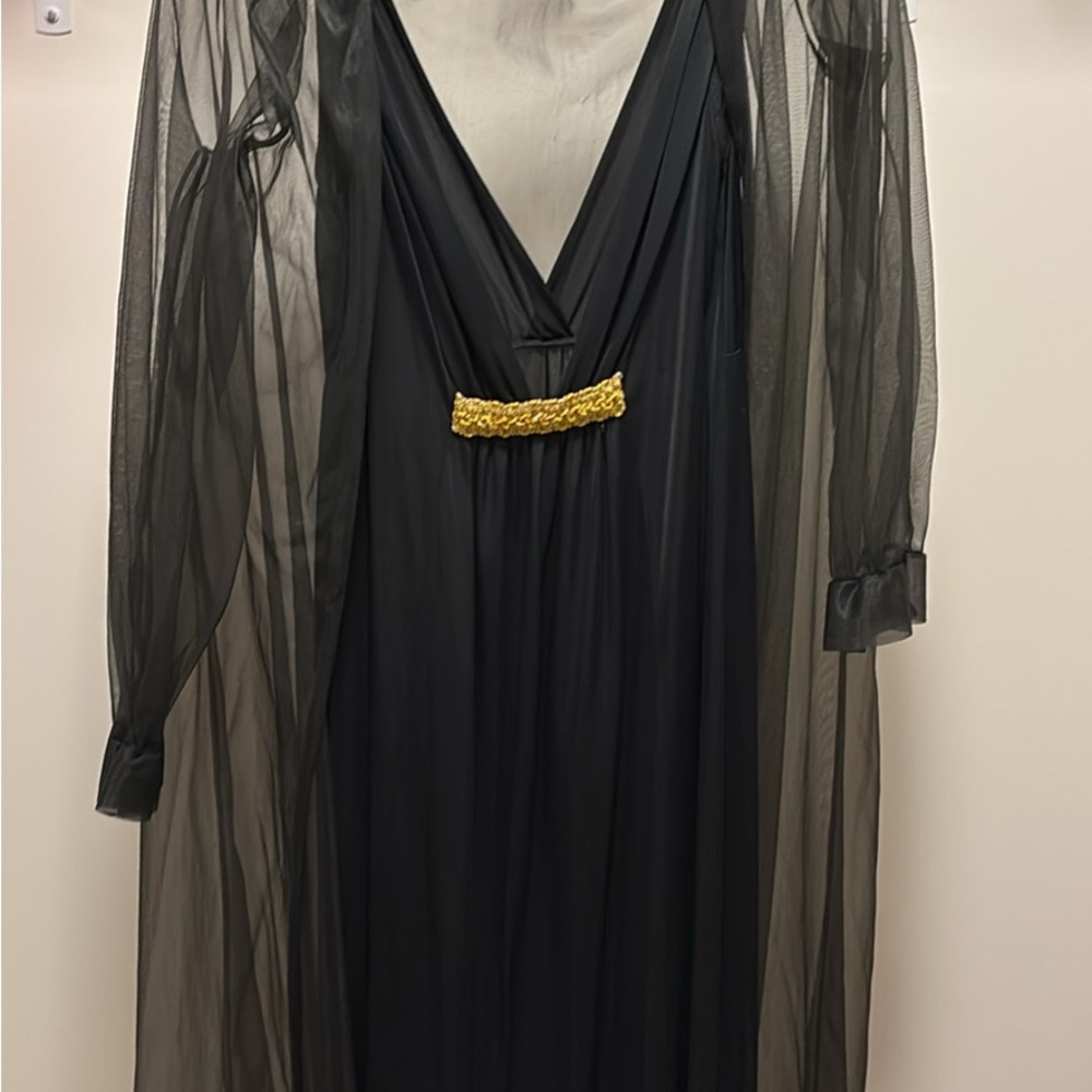 Elegant Black Sheer Dress with Gold Accent